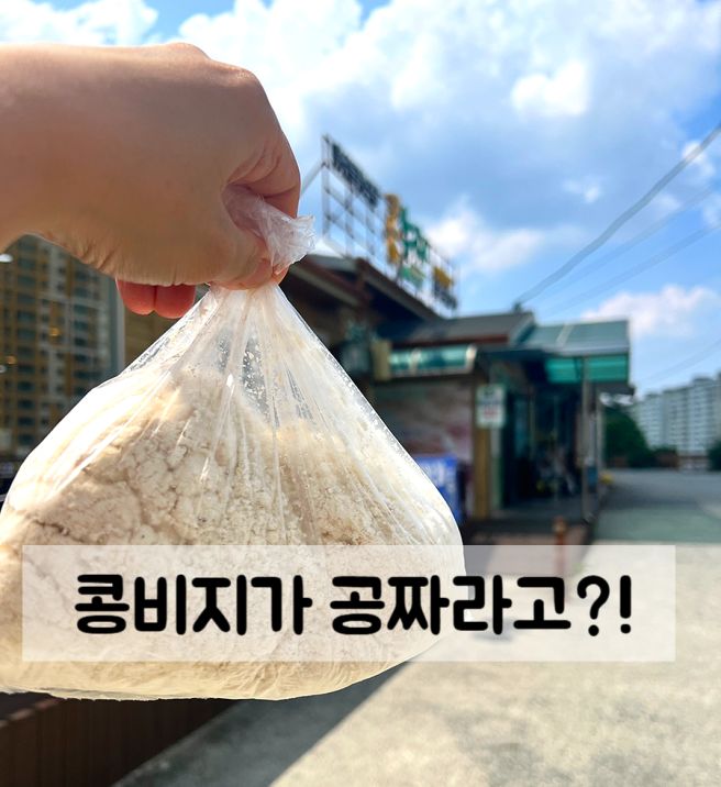 경산 사동 콩국수 맛집 콩누리, 진하고 뻑뻑한 콩국수 먹어본 후기
