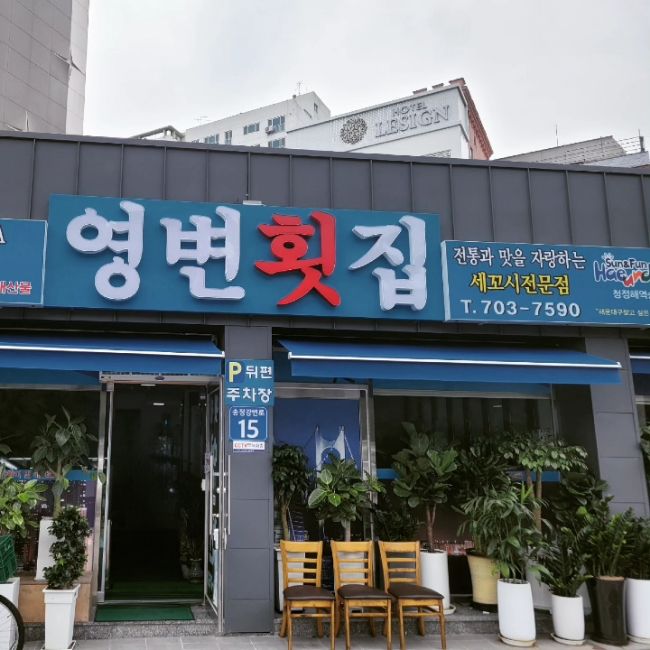 부산 송정 세꼬시 전문점 회 맛집 영변횟집