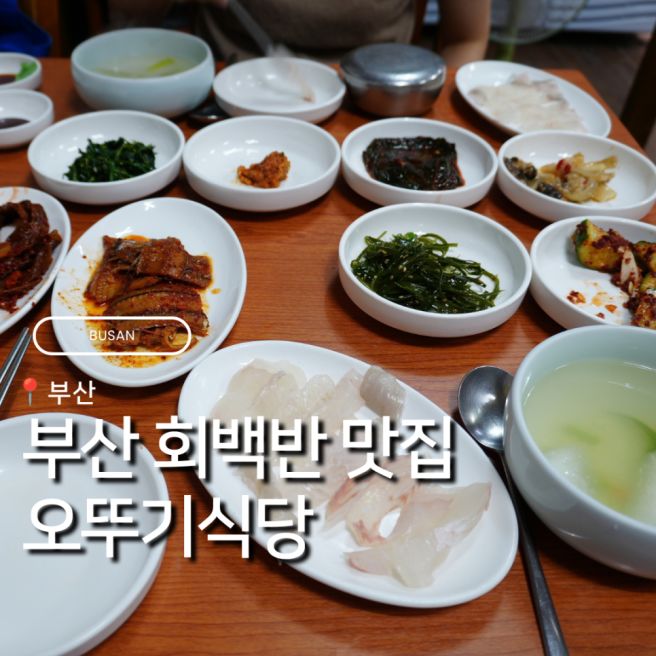 부산 중앙동의 골목노포 오뚜기식당 모퉁이에 숨어있는 회백반 맛집