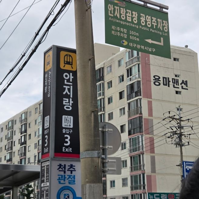 대구 안지랑 곱창거리 | 현지인맛집 안지막창곱창 주차장 지하철 내돈내산후기