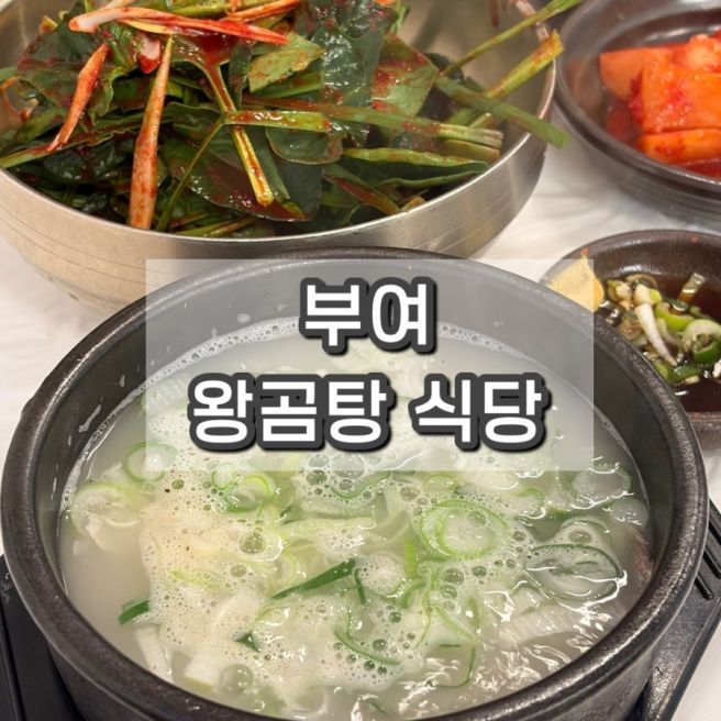 부여 맛집 내돈내산 왕곰탕 식당