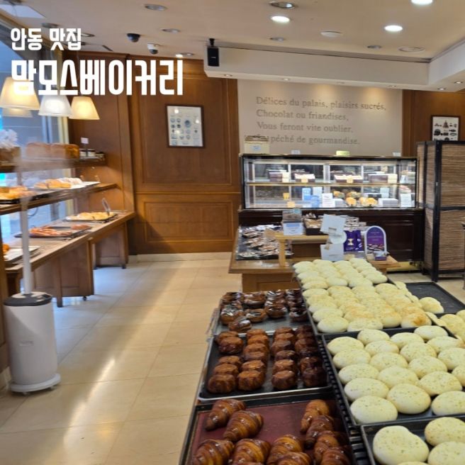 경북 안동 베이커리 빵집 맛집 맘모스베이커리