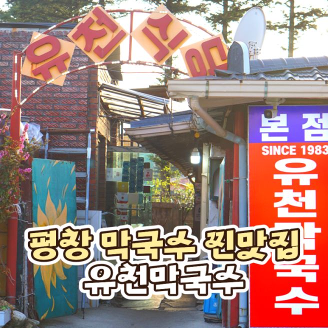 평창막국수맛집 내돈내산 솔직후기 물막국수 추천 꿩만두국까지 ㅣ 유천막국수 본점
