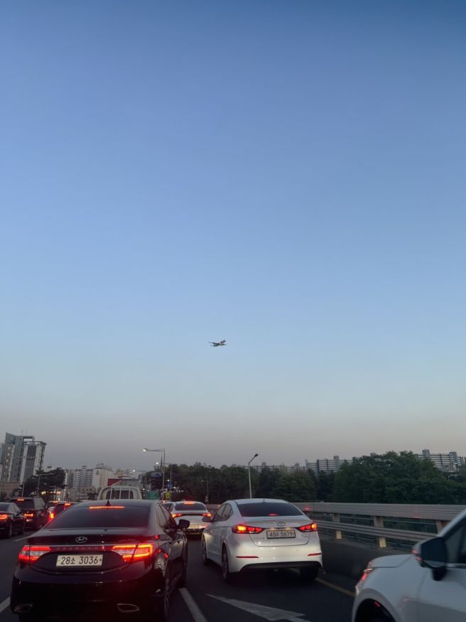 동인천 배다리 송미옥... 인천 중앙시장 복요리 전문점