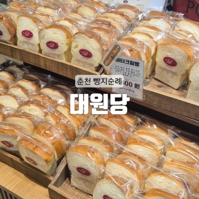 [춘천] 여기 모르면 간첩 춘천 여행코스 빵지순례 석사동 빵집 : 대원당