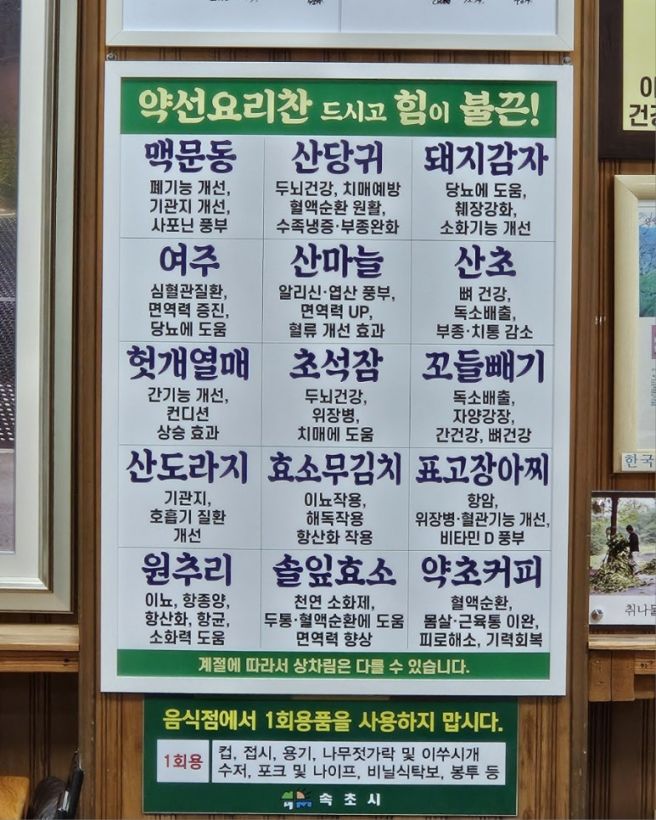 [속초/맛집 추천] 진정으로 몸이 건강해지는 산나물 정식 <점봉산산채>