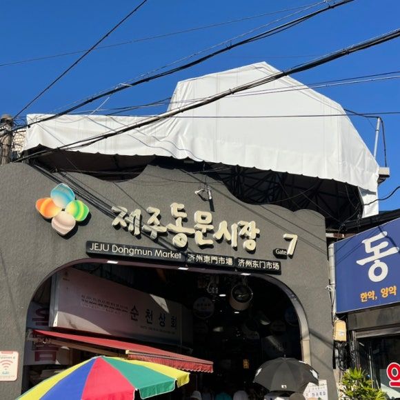 제주 3박 4일 혼여행 | 동문시장 고기국수, 우무, 제주 오션뷰 카페, 감귤모찌, 슈푸, 이호테우, 삼양...
