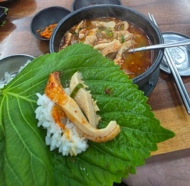 제주 해장국 맛집 함덕골목 본점 성시경이 인정한 내장탕 후기