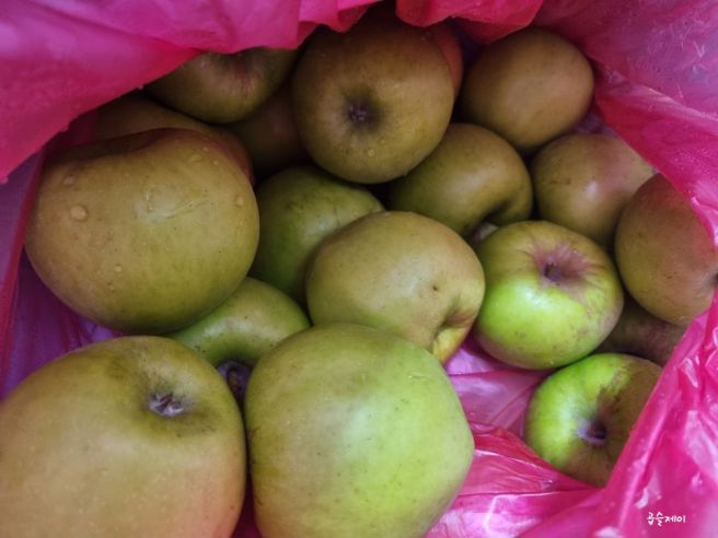 영주 거리에서 사과와 고구마 빵(미소머금고 카페) 사서 집으로