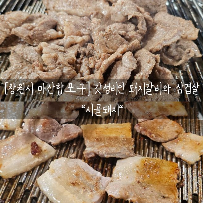 [창원시 마산합포구] 돼지갈비와 삼겹살 갓성비 맛집인 "시골돼지"