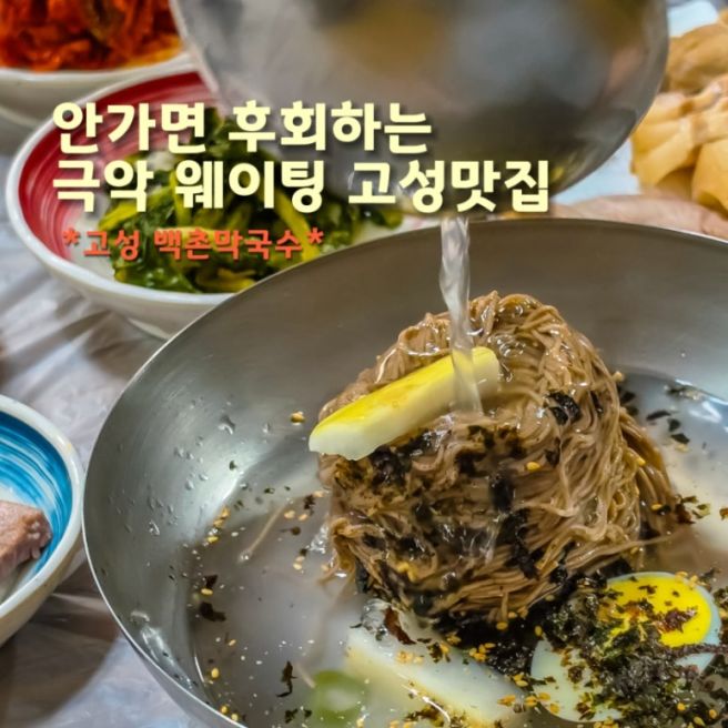 강원도 고성 1티어 웨이팅 맛집 백촌막국수 방문 꿀팁