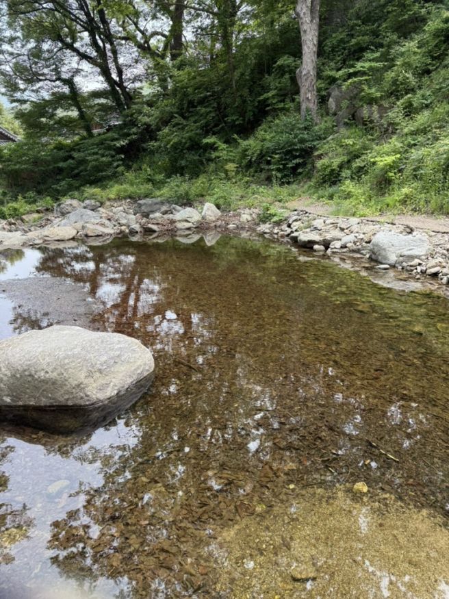 [직지사/부일산채식당] 김천 관광 경북 당일치기 여행 코스 추천 주말 나들이