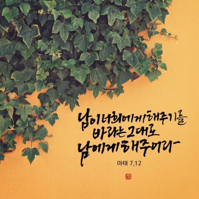 뷰어 이미지
