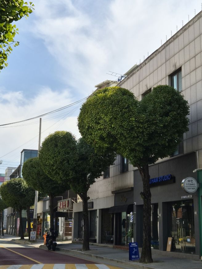 충북 청주 당일치기 뚜벅이 여행 : 경주집버섯찌개, 이사프커피스탠드, 집의조각들, 상당산성, 쫄쫄호떡...