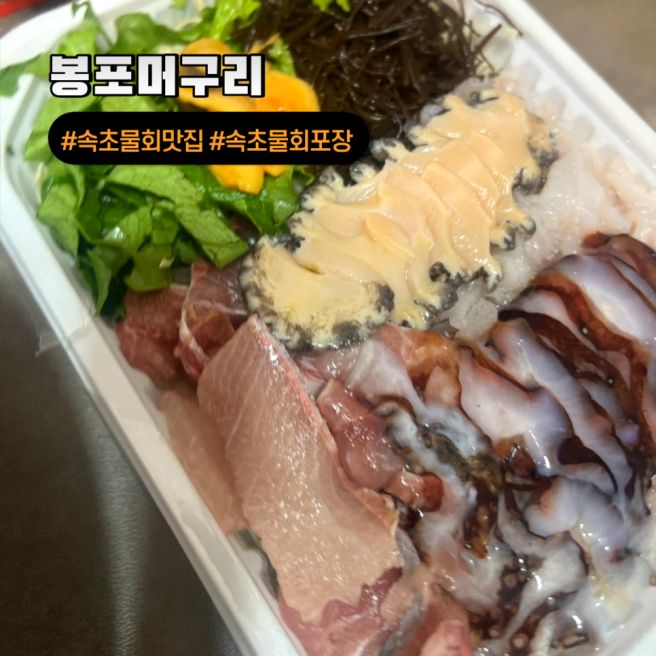 속초 물회 맛집 물회 1티어 봉포머구리집 포장 솔직 리뷰