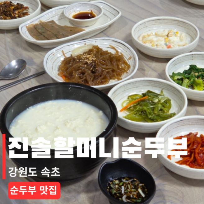 속초 순두부 맛집 | 진솔할머니순두부 방문후기