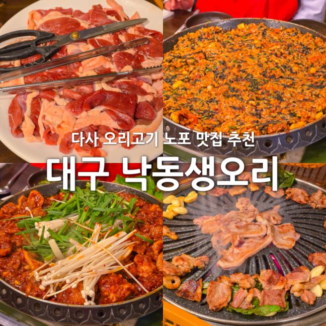 대구 한식 맛집 낙동생오리 다사 본점 오리고기 노포