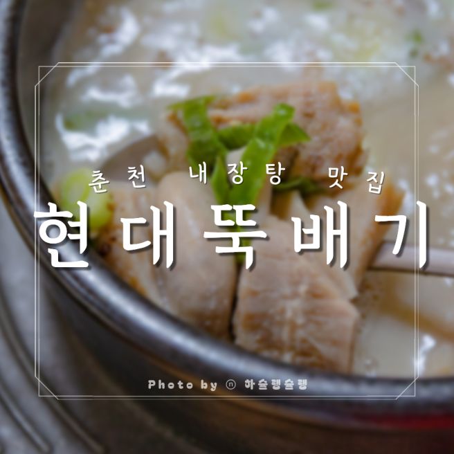 춘천내장탕 맛집 오래된 노포식당 현대뚝배기