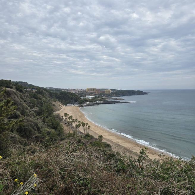 [제주.EAT] 관광제주 위기에 대한 먹거리 해법, '넉둥배기'