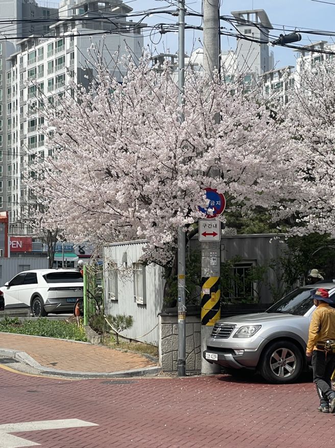 경산 맛집 - 낮술하러 "청우방"