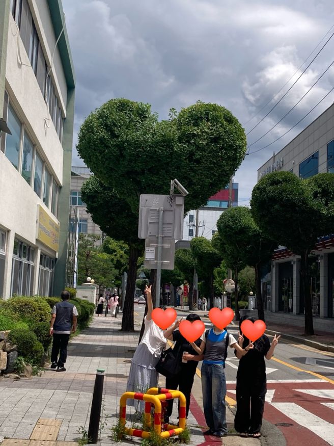 대학 동기들과 당일치기 청주 여행 레쓰고 : 원조고추...공원, 하트나무, 미결의미학,집의조각들,공원당