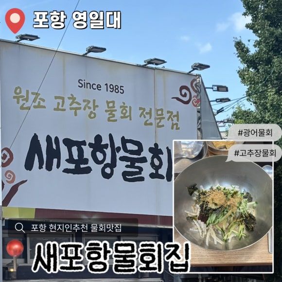 포항 물회 맛집- 새포항 물회, 고추장 물회, 포항 현지인 맛집, 영일대 물회 맛집