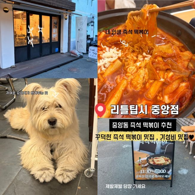 [부산 중구] 리틀팁시 중앙점, 중앙동 맛집,남포동 떡볶이, 용두산 공원 근처, 내돈내산,솔직후기