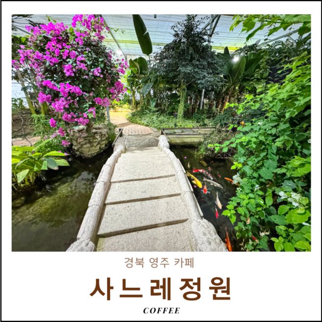 경북 영주 카페 사느레정원 한옥 문수 수목원 온실 실내데이트 추천