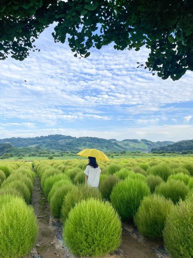 경기도 연천 가볼만한곳, 연천 맛집 &amp; 카페 &amp; 연천역 모음.ZIP