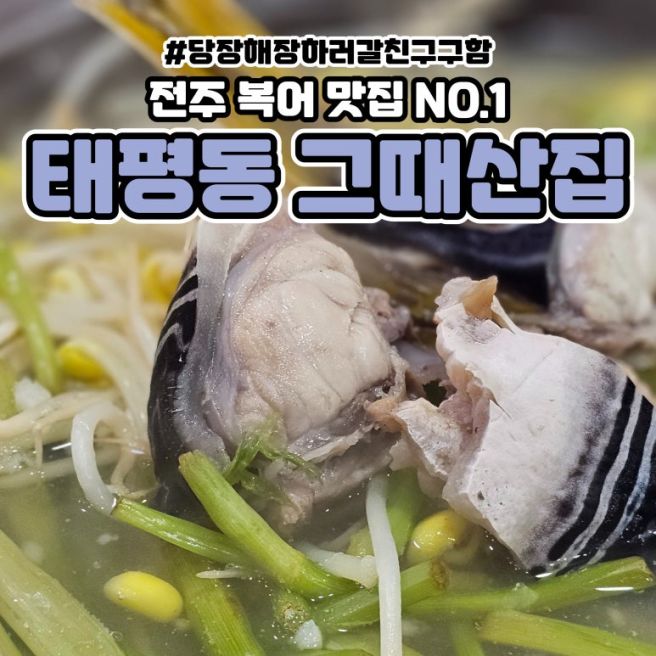 전주복어맛집 전주그때산집, 까치복 맑은탕에 정신 놓고 왔다… 태평동맛집 인정!