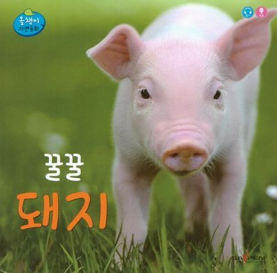 단양 현지인맛집 왕릉숯불갈비 단양본점 마늘돼지갈비 솔직후기