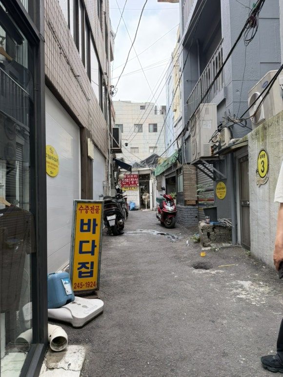 내돈내산 부산 남포동 노포 식당 [원조바다집] 개미집 본점 옆 숨은 맛집
