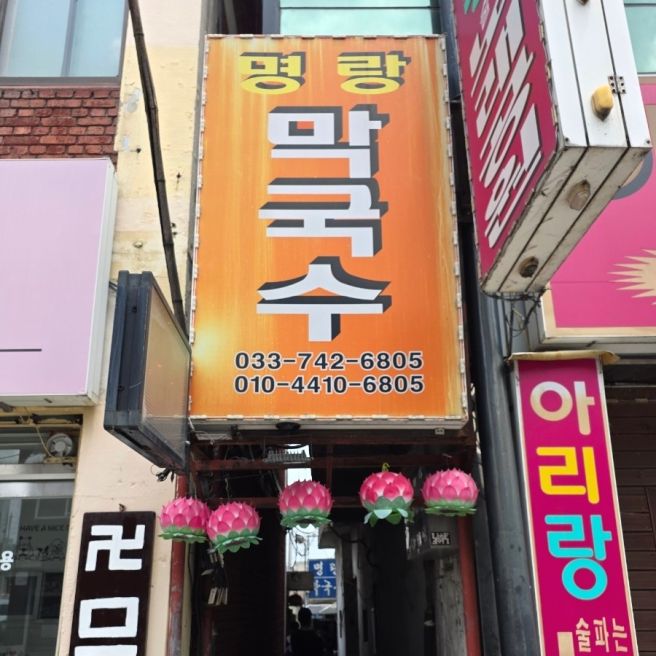 내돈내산 원주 막국수 맛집 명랑막국수 (수육이 원탑)