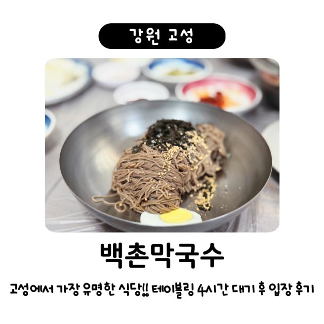 강원 고성 백촌막국수 / 막국수 곱배기와 편육 / 테이블링 원격줄서기 현장 대기 소요시간