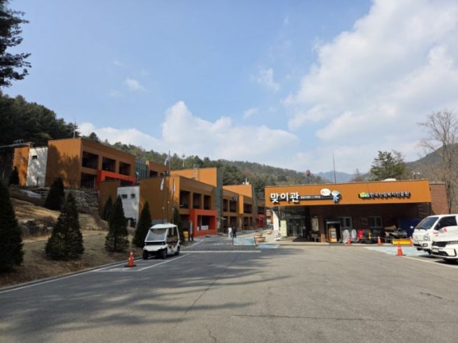 춘천 당일치기 여행 코스 추천 (숲체원, 유포리막국수, 카페감자밭)