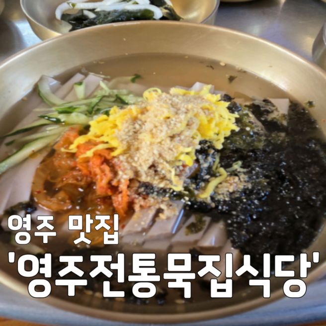 [영주 맛집] 사노라면 방영 영주전통묵집식당! 현지인이 알려주는 묵밥과 태평초 꿀팁