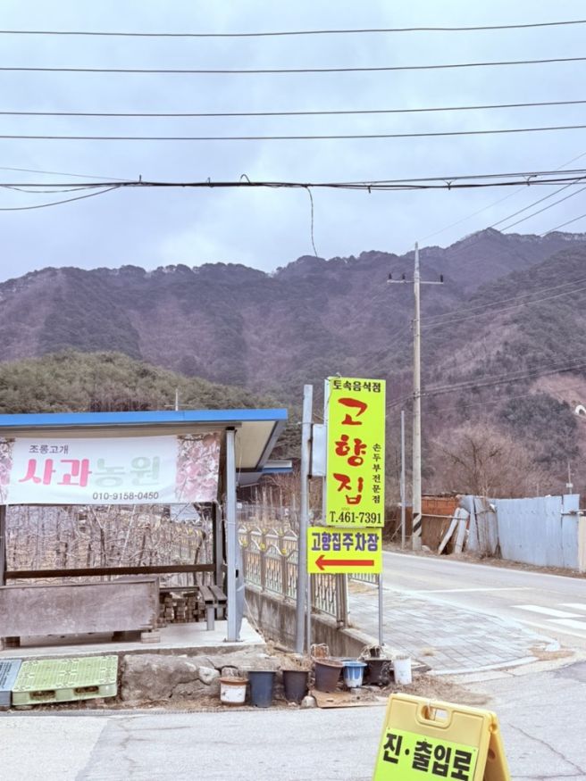 강원도 인제 맛집 콩콩팥팥 두부요리 고향집 후기