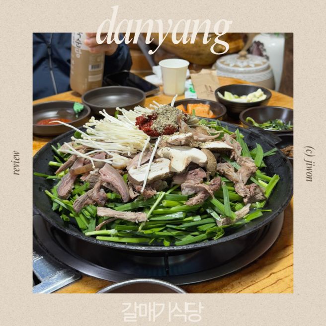 충북 단양 부모님이랑 가기 좋은 흑염소전골 갈매기식당 현지인 맛집