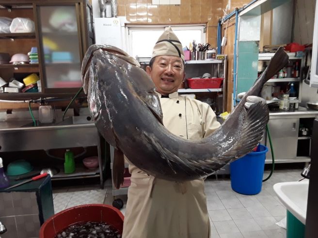 전현무계획3 21회 제주 서귀포시 다금바리회 특수부위 곰탕 성지 진미명가