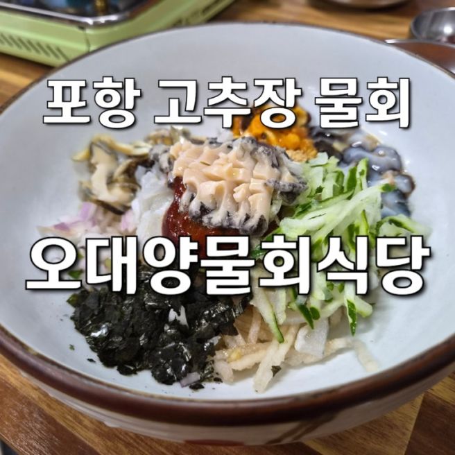 포항 물회 추천: 현지인 고추장 물회 맛집 전국3대물회 오대양물회식당