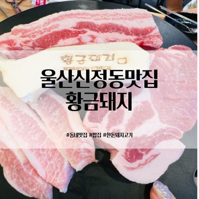 울산 남구 신정동 구워주는 고깃집 황금돼지 동네맛집