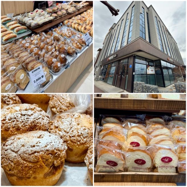 춘천 여행 코스 대원당 빵집 빵지순례