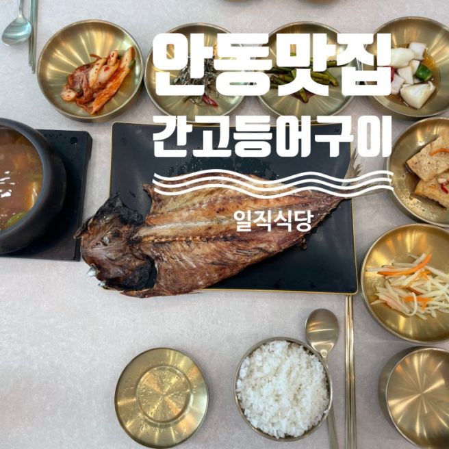 안동 맛집 :: 안동 간고등어 맛집, 고등어구이 내돈내산 후기 "일직식당"