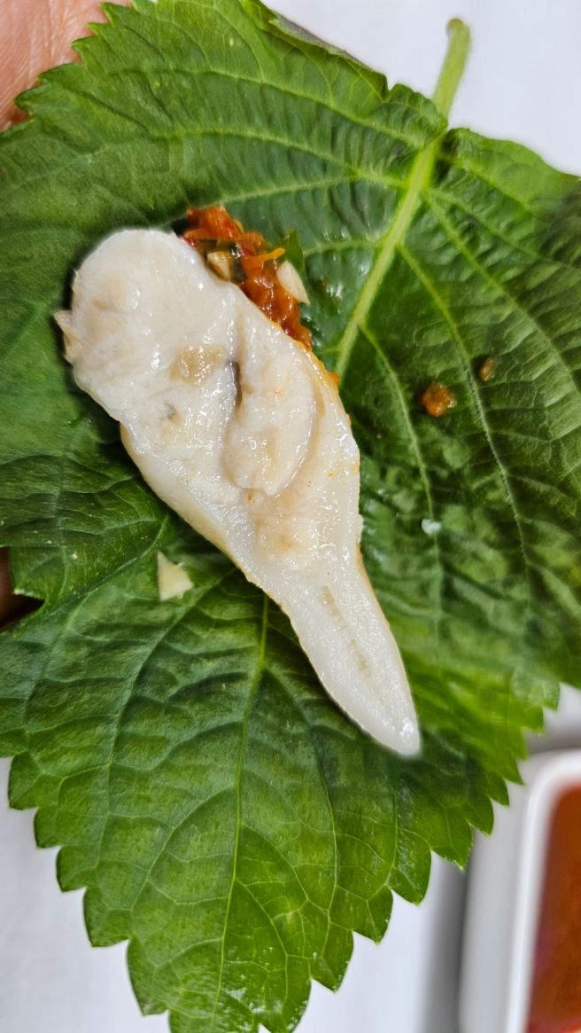 거제 코끼리조개 맛집 청학횟집 성포항맛집 이죠