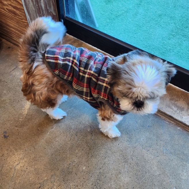 경주 힐튼호텔 조식 주변 아침식사,점심맛집 단체환영 원조떡갈비집