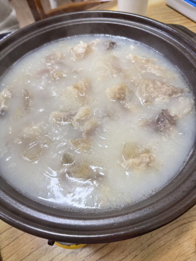 서귀포 이중섭미술관 주변 도가니 맛집 벌집식당 도가니 수육후기