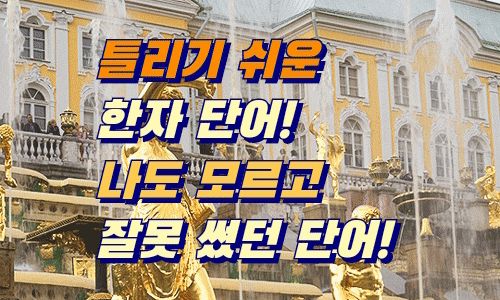 뷰어 이미지