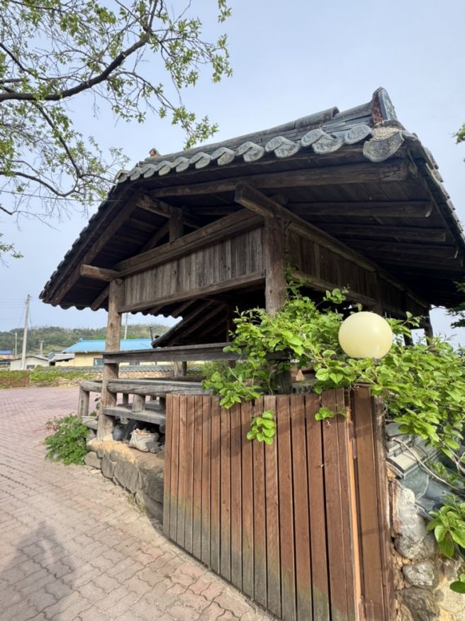 [영주 순흥 맛집] 가볍고 든든한 한 끼! 오래된 순흥전통묵집 후기