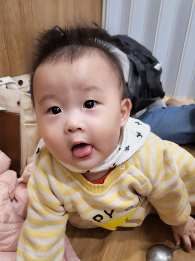 [화순 토성가든] 광주근교 옻닭백숙과 닭구이