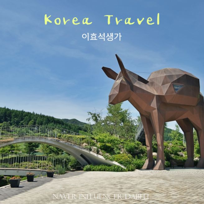 강원도 평창 가볼만한곳 봉평 효석문화마을 메밀꽃밭